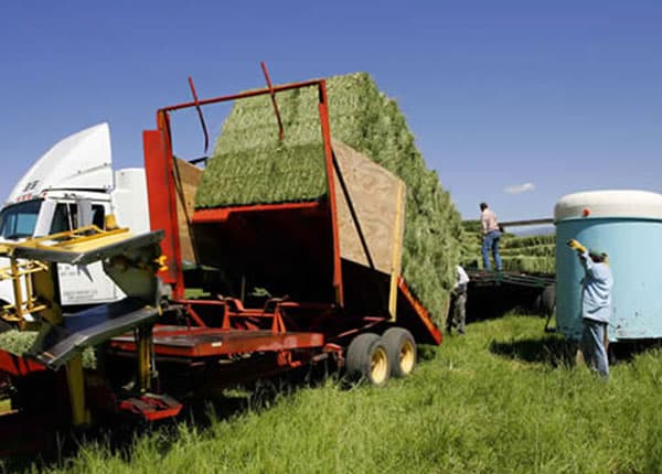 stack wagon hay