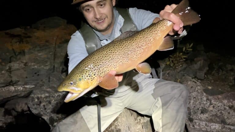 Colorado mountain river brown trout